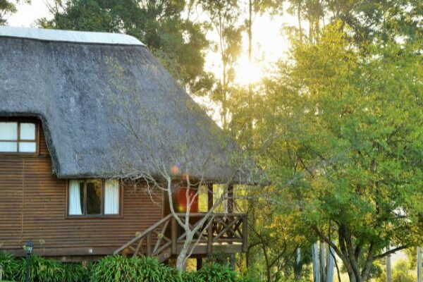 Ingeli Family Log Cabin 2
