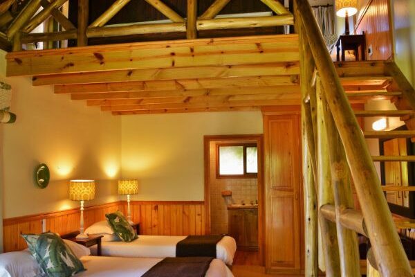 Ingeli Family Log Cabin 3